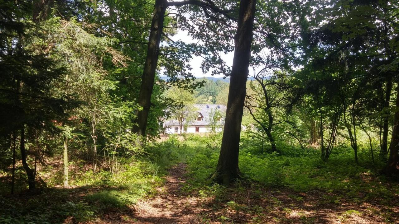 Pokoje Goscinne Art- Dworek Kudowa-Zdroj Bagian luar foto