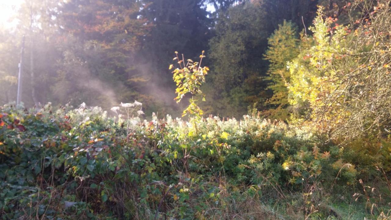 Pokoje Goscinne Art- Dworek Kudowa-Zdroj Bagian luar foto