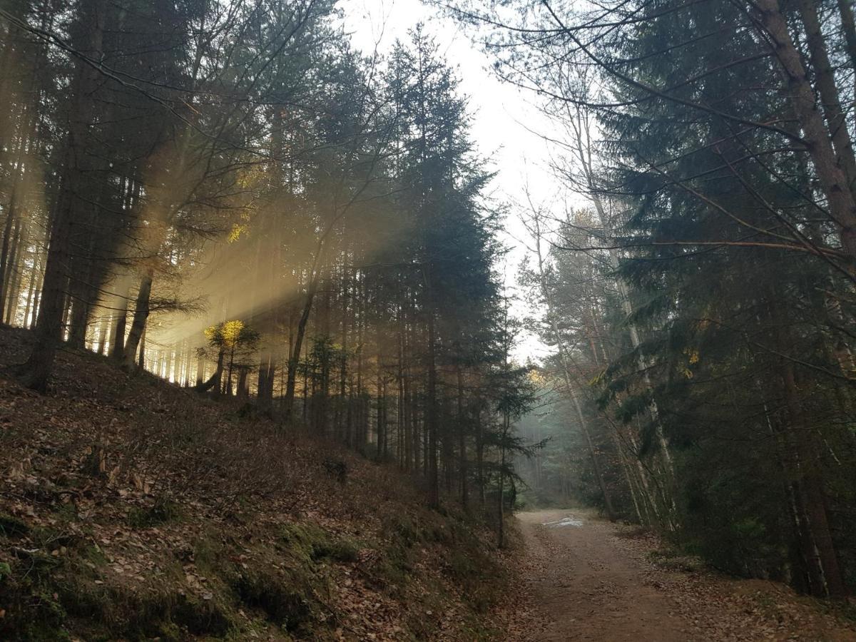 Pokoje Goscinne Art- Dworek Kudowa-Zdroj Bagian luar foto