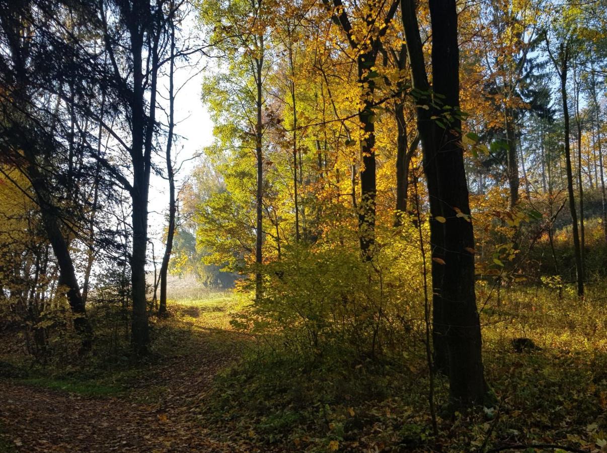 Pokoje Goscinne Art- Dworek Kudowa-Zdroj Bagian luar foto