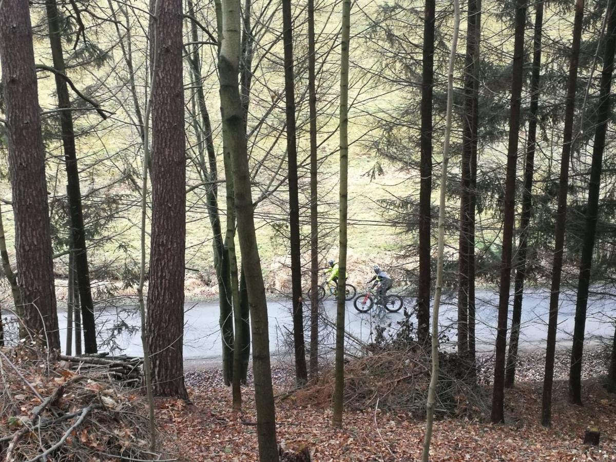 Pokoje Goscinne Art- Dworek Kudowa-Zdroj Bagian luar foto