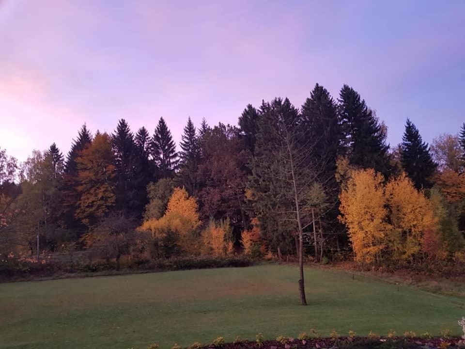 Pokoje Goscinne Art- Dworek Kudowa-Zdroj Bagian luar foto