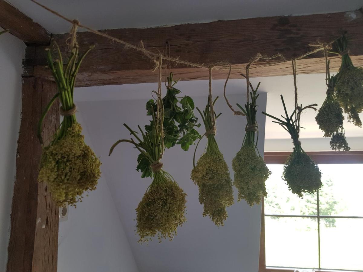 Pokoje Goscinne Art- Dworek Kudowa-Zdroj Bagian luar foto