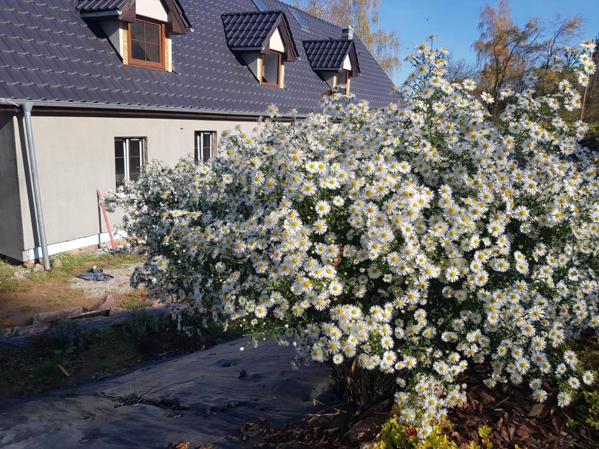 Pokoje Goscinne Art- Dworek Kudowa-Zdroj Bagian luar foto