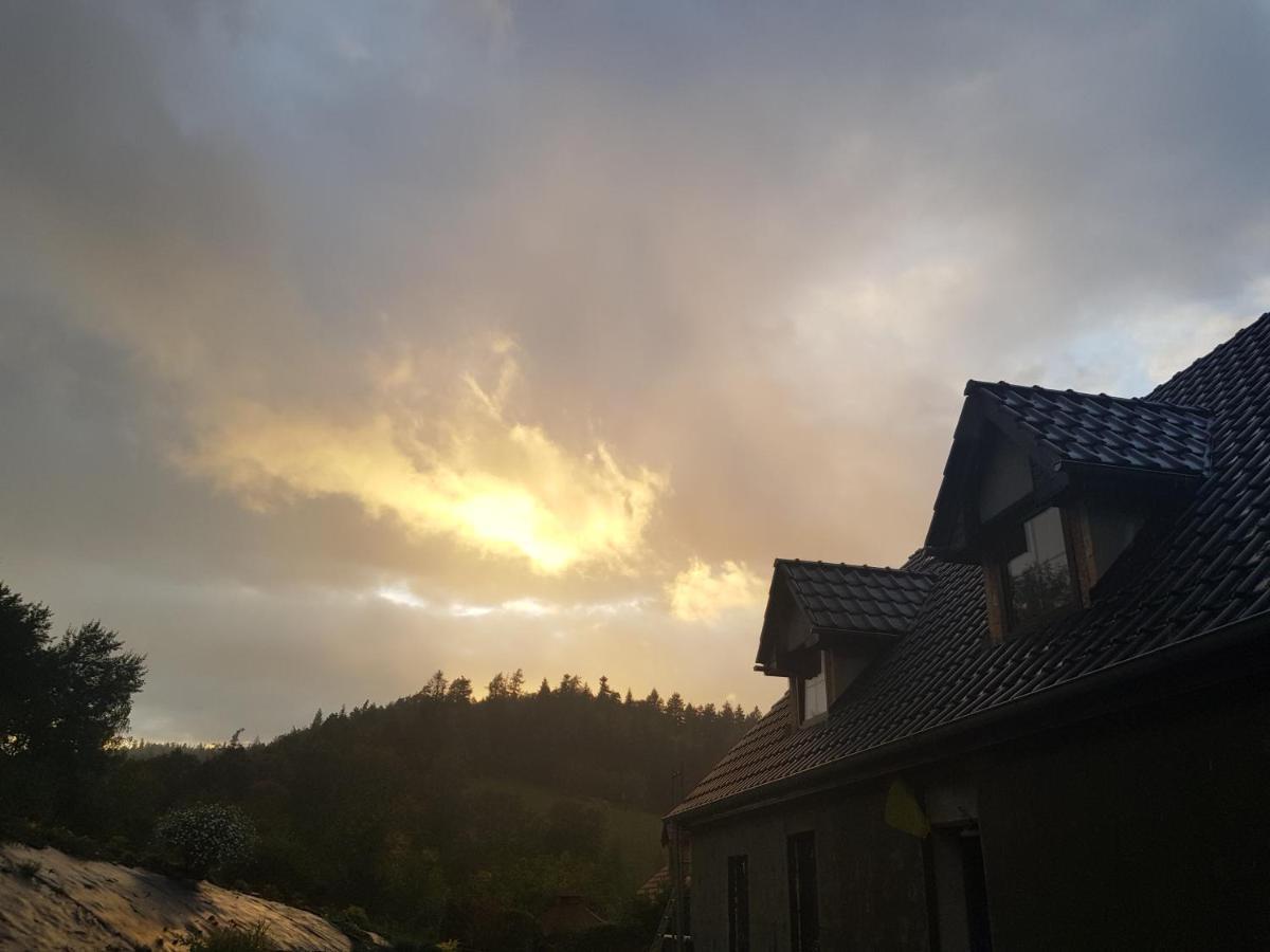 Pokoje Goscinne Art- Dworek Kudowa-Zdroj Bagian luar foto