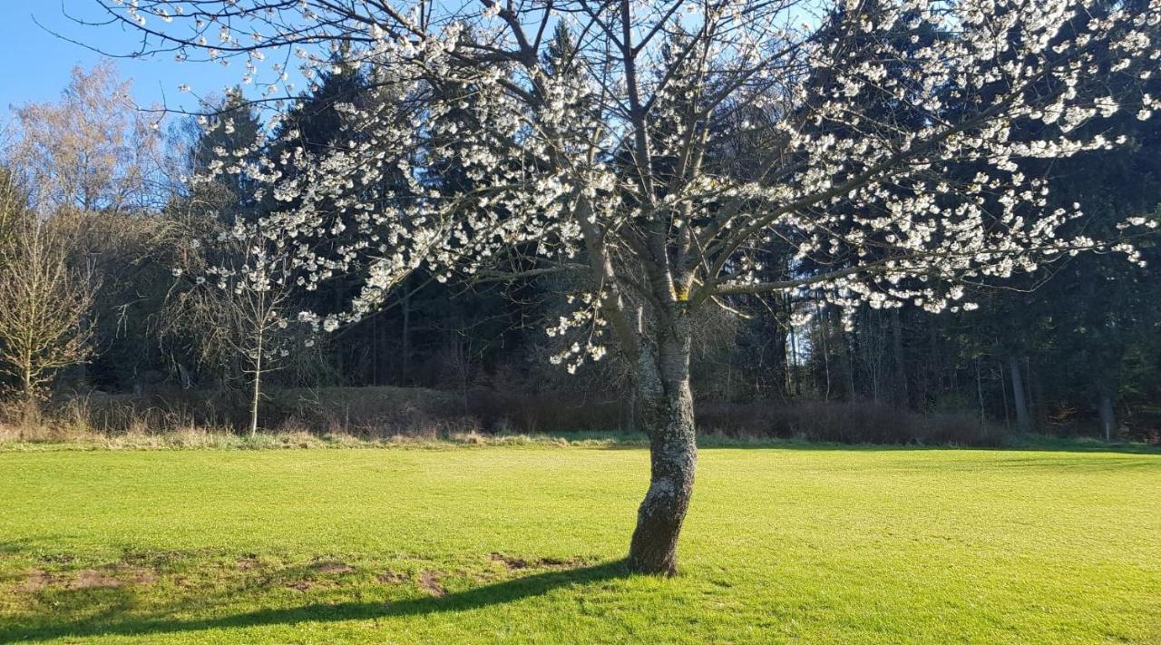 Pokoje Goscinne Art- Dworek Kudowa-Zdroj Bagian luar foto