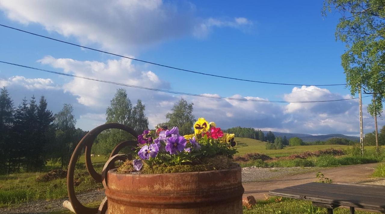 Pokoje Goscinne Art- Dworek Kudowa-Zdroj Bagian luar foto