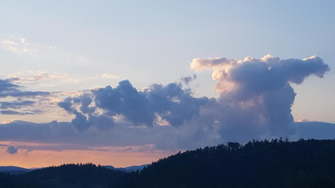 Pokoje Goscinne Art- Dworek Kudowa-Zdroj Bagian luar foto