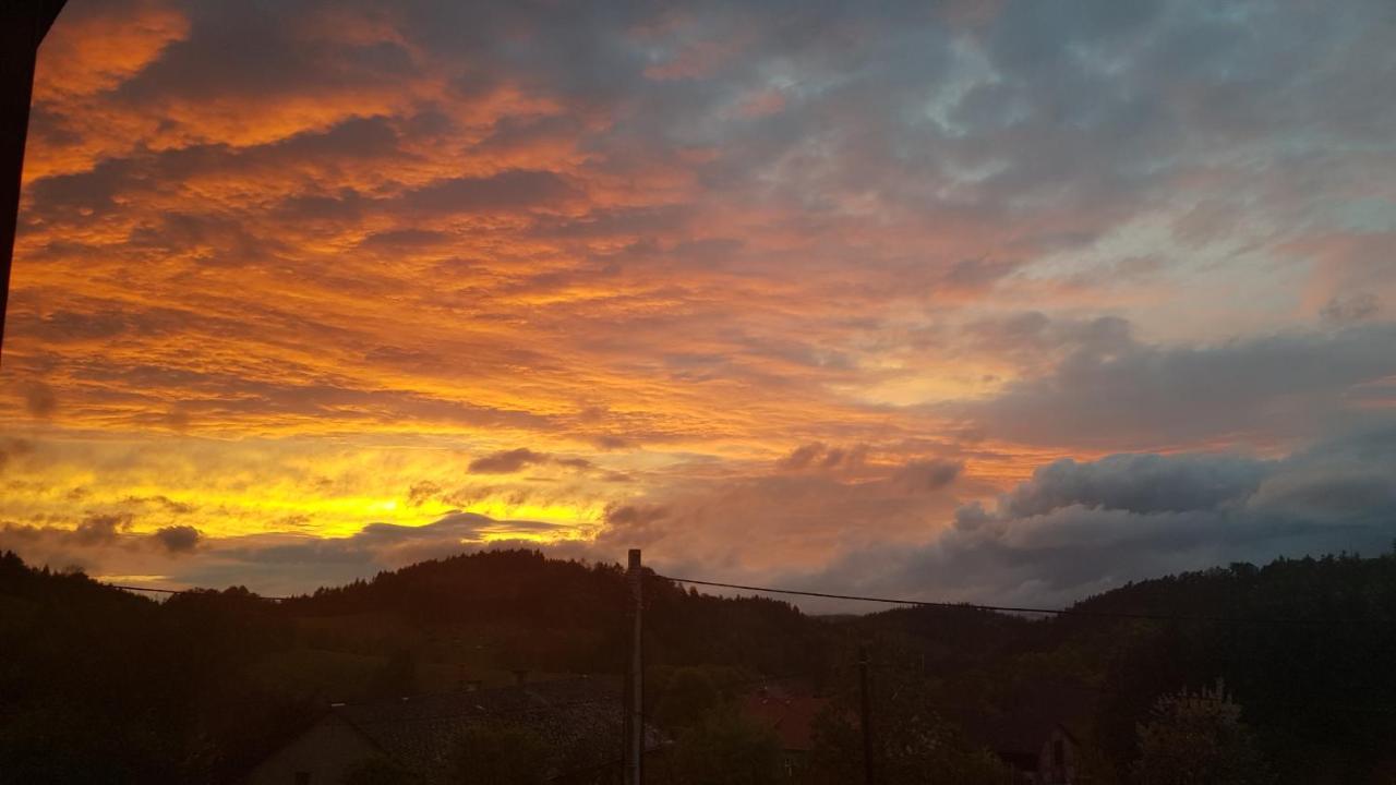Pokoje Goscinne Art- Dworek Kudowa-Zdroj Bagian luar foto