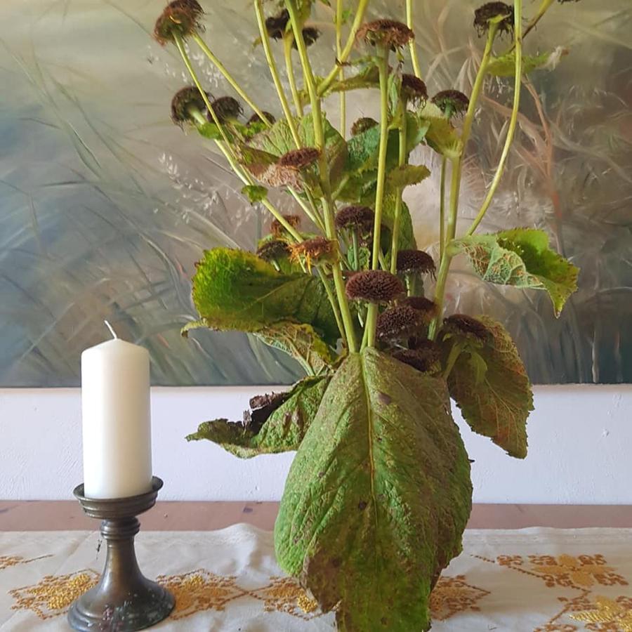 Pokoje Goscinne Art- Dworek Kudowa-Zdroj Bagian luar foto